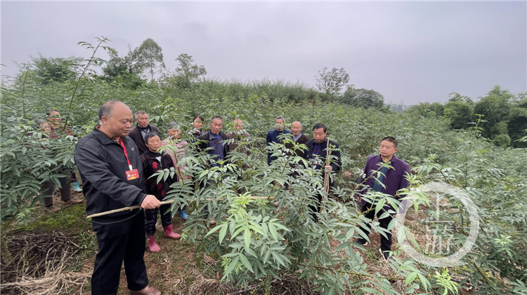 GetAttachment (2).jpg