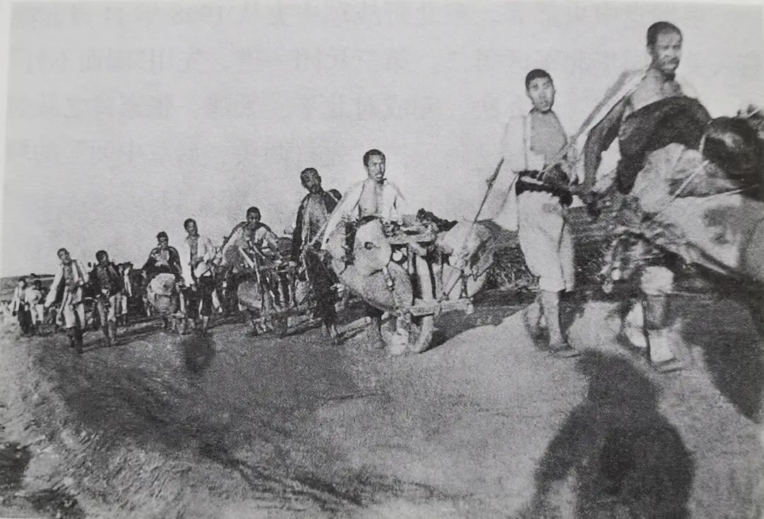 学党史·读原著 | 伟大的战略决战和国民党反动统治的覆灭