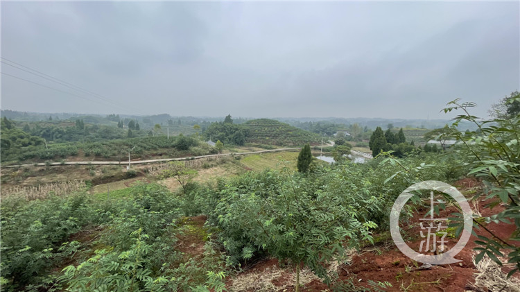 GetAttachment (3).jpg