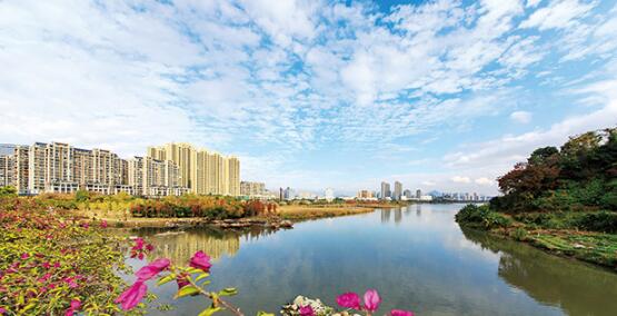 W020180117355016457973