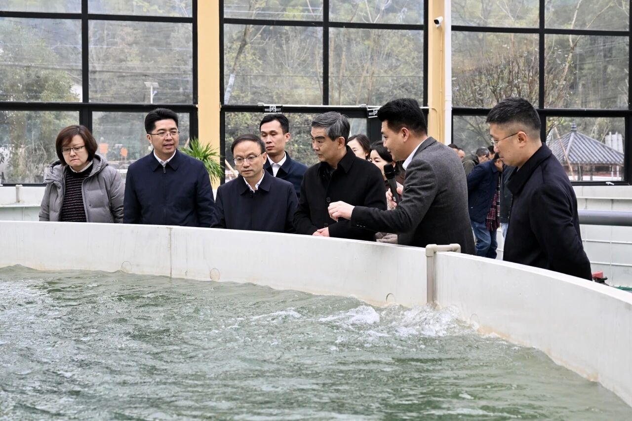 87632133ef15ed5684c5a40b77a73902