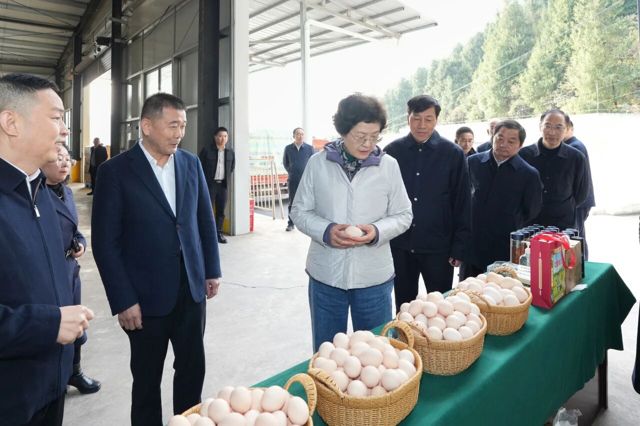 00464c16df422954d40ab5f8a12ca28d