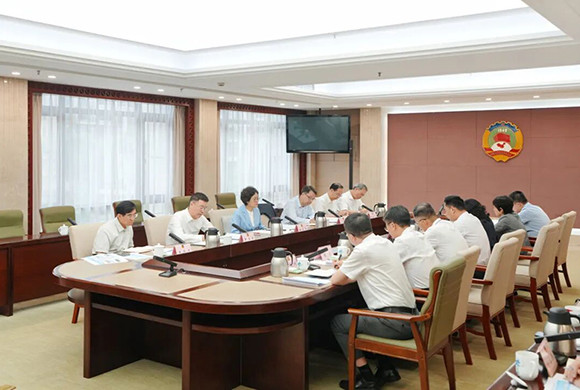 程丽华主持召开打造重庆政协协商民主实践窗口建设专题会